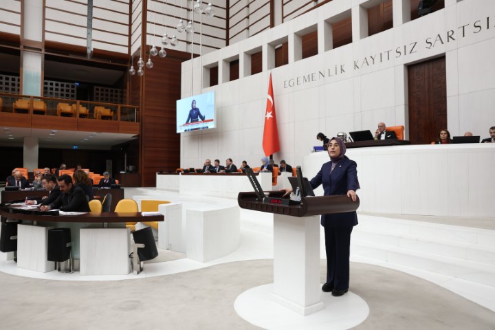 D813Fbfc A9Cd 4056 9Cf2 8Bfb25F61C52 (Küçük)