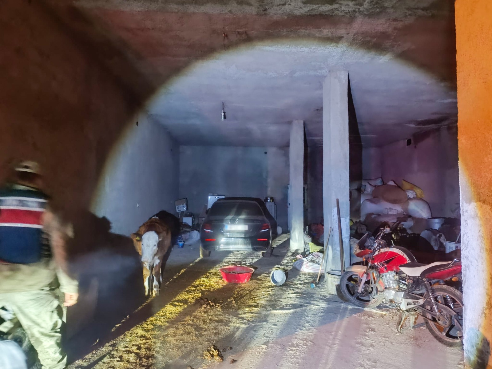 Şanlıurfa Akçakale’de Ahırda Saklanan Çalıntı Araç Bulundu (2)