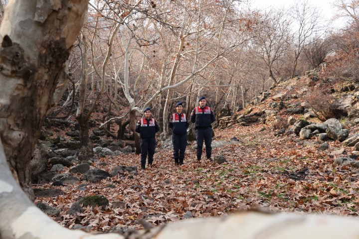 Aw639987 01 (Small) (2)