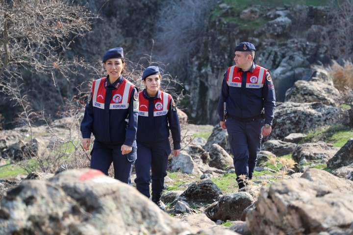 Aw639987 08 (Small) (2)