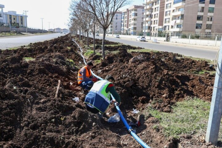 Diyarbakır Şanlıurfa Yolu Kuru Peyzajla Yenileniyor!