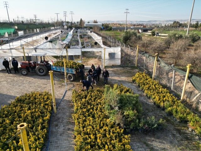 Şanlıurfa’da “Yeşil Bir Urfa” Seferberliği Sürüyor