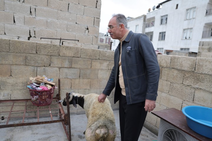 Eyyubiye Koc Dagitimi (2) (Small)