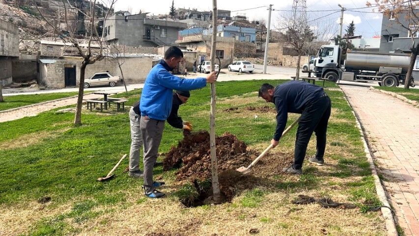 Şanlıurfa Eyyübiye’de Parklar Bahara Hazırlanıyor