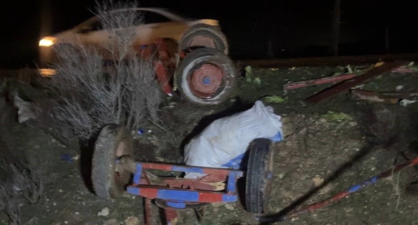 Şanlıurfa Ceylanpınar’da At Arabasına Otomobil Çarptı 2 Yaralı (3) (Küçük)