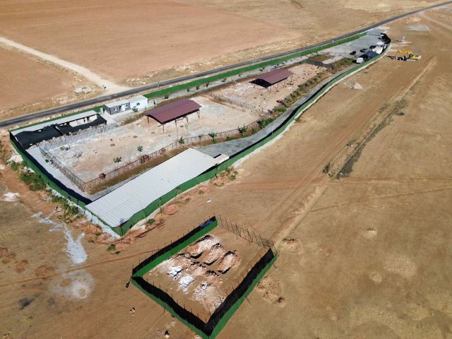 Şanlıurfa’da Sahipsiz Hayvan Çalışmalarında Hedefe Ulaşıldı (5) (Küçük)