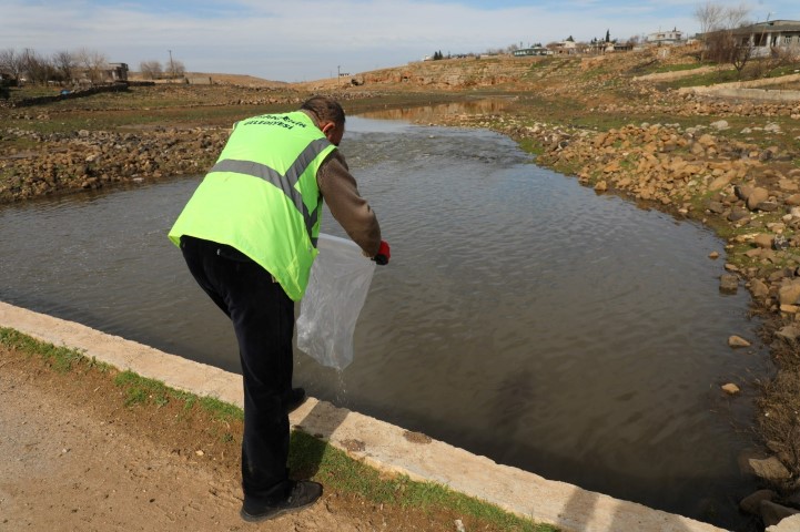 Viranşehir’de Dere Yataklarında Erken Dönem Larva Mücadelesi Sürüyor
