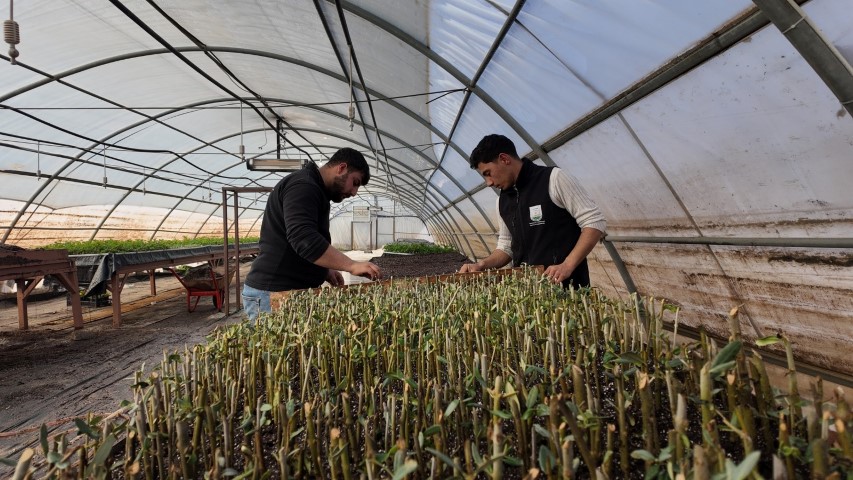 Whatsapp Image 2026 02 19 At 11.10.39 (1) (Small)