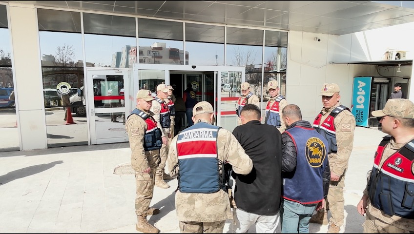 Whatsapp Image 2026 02 20 At 11.43.41