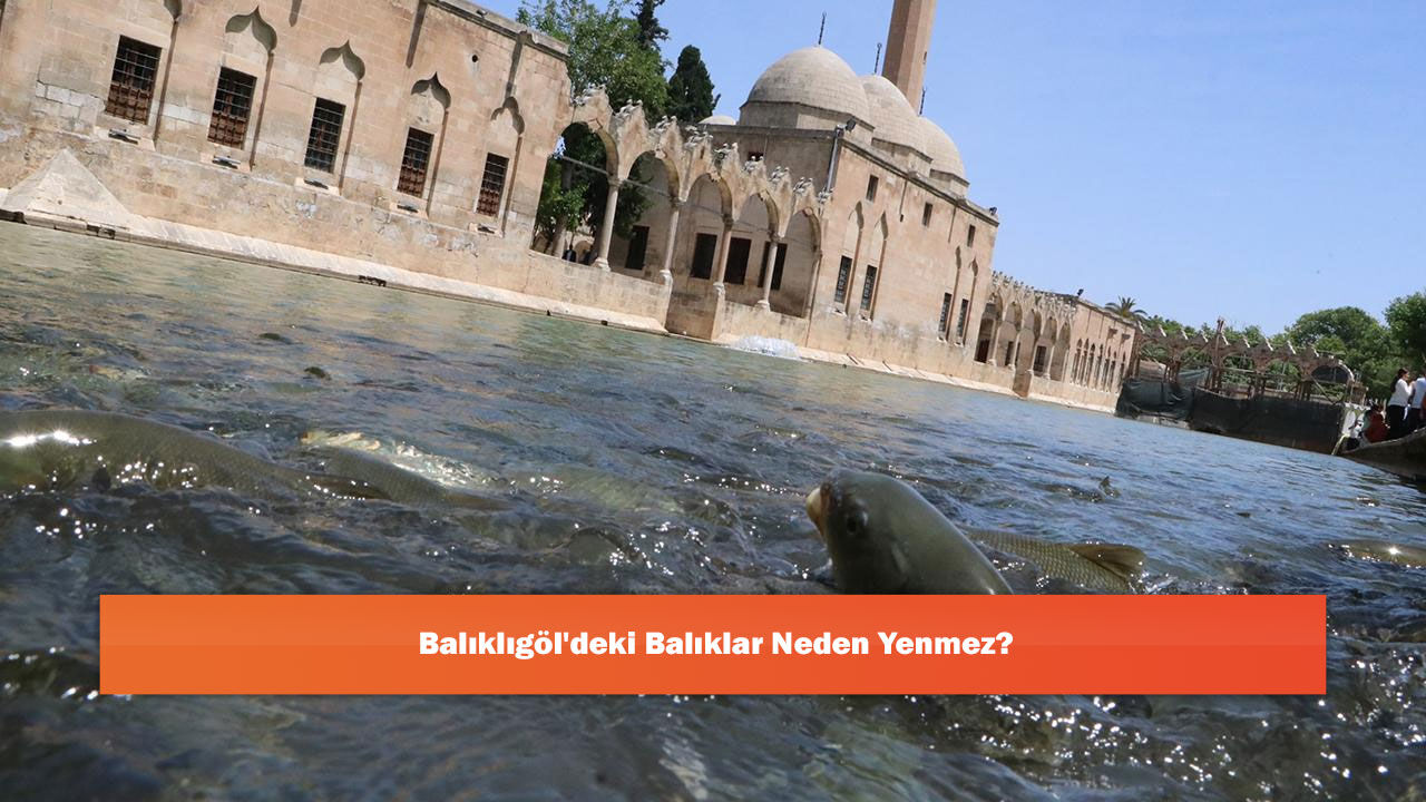 Balıklıgöl'deki Balıklar Neden Yenmez?