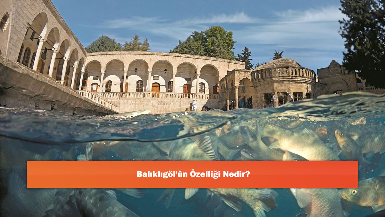 Balıklıgöl'ün Özelliği Nedir?