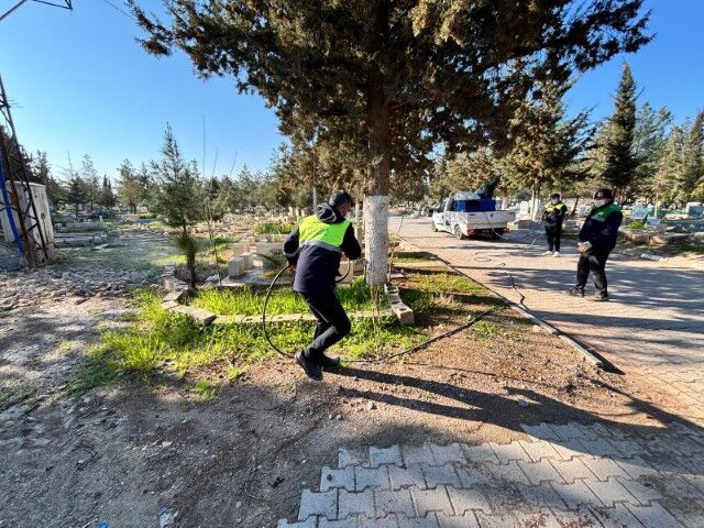Ceylanpınar Belediyesi Haşerelere Karşı Önlem Alıyor