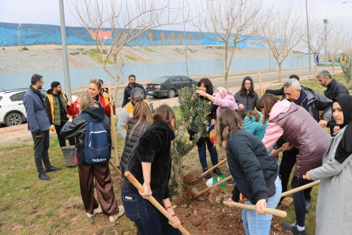 Türkiye–Romanya Dostluk Parkı için Şanlıurfa’da ilk fidanlar dikildi