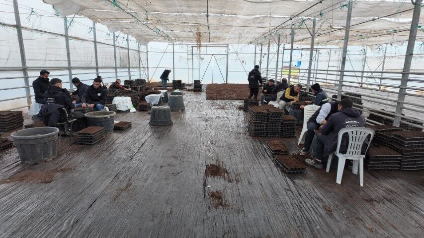 Şanlıurfa Büyükşehir’den Çiftçilere Dev Fide Projesi!