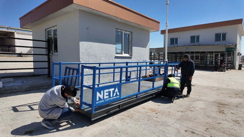 Şanliurfa Canli Hayvan Borsasi’na Elektroni̇k Baskül Kuruldu (1) (Küçük)-1