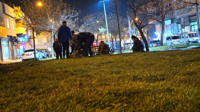 Şanlıurfa Eyyübiye Belediyesi’nden Gece Mesaisiyle Yeşil Dönüşüm!