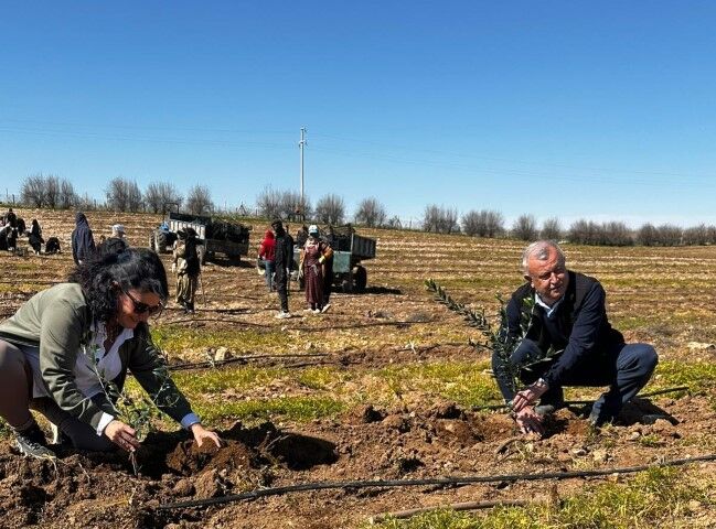 Şanlıurfa Tarımı İçin Stratejik Proje Hayata Geçti!