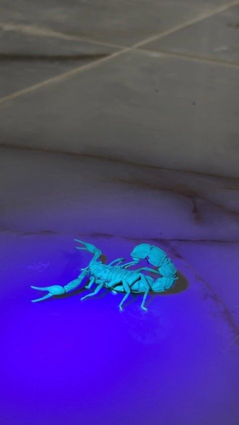 61145Aa1 1C83 418E 8A0B 9677E2050366 (Küçük)