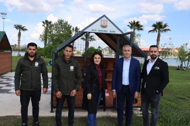 Şanlıurfa’da Sokak Kedileri İçin Dev Proje Hayata Geçti!