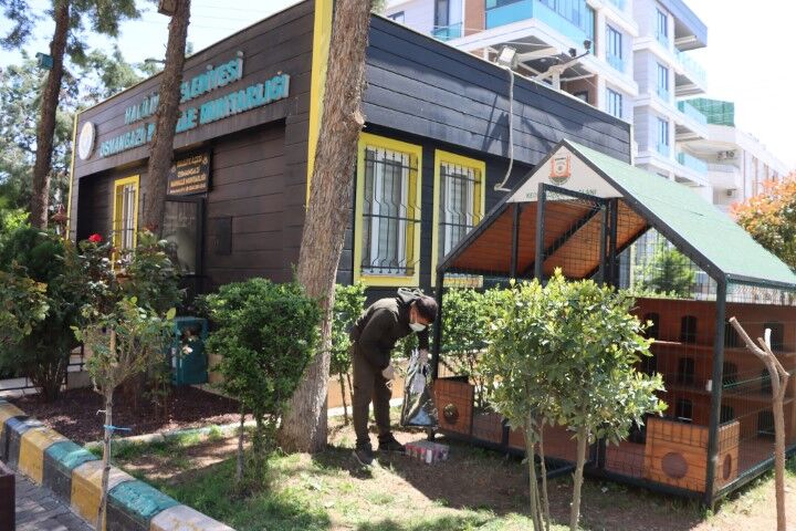 Büyükşehi̇r Beledi̇yesi̇’nden Sokak Kedi̇leri̇ İçi̇n Örnek Proje (6) (Küçük)