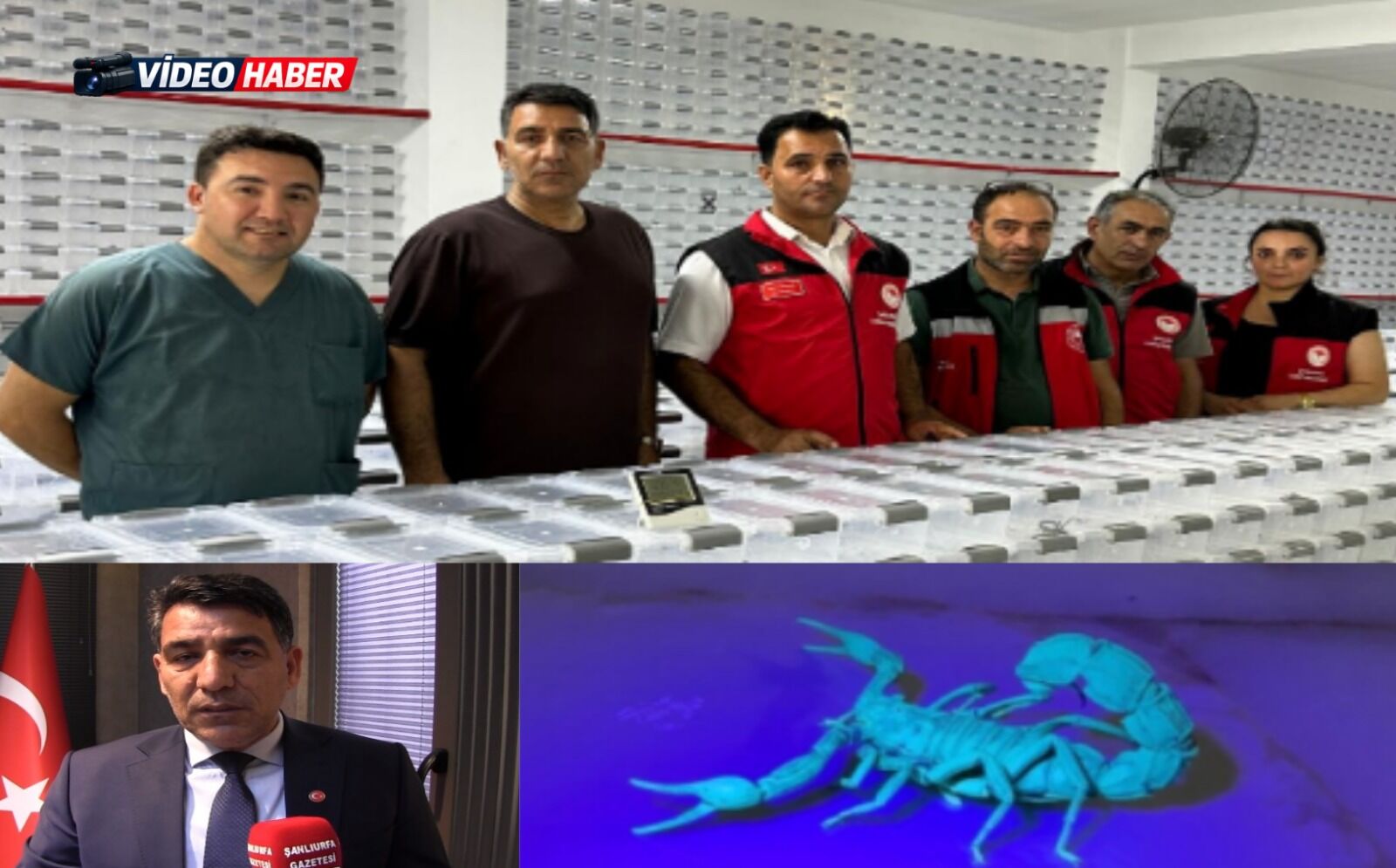 Şanlıurfalı firmadan estetikte dikkat çeken yenilik: Akrep zehrinden botoks kremi