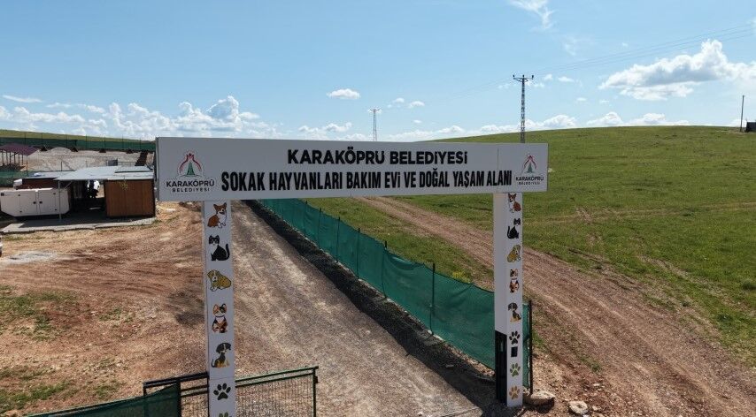 Şanlıurfa’da Sokak Hayvanları İçin Dev Yatırım!