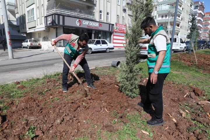 Şanlıurfa Haliliye’de “Daha Yeşil İlçe” İçin Seferberlik!