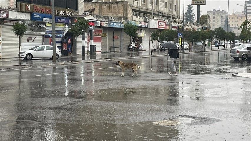 Türkiye’de Yaz Yağışları Yüzde 94 Arttı, Şanlıurfa’da Düşüş Dikkat Çekti