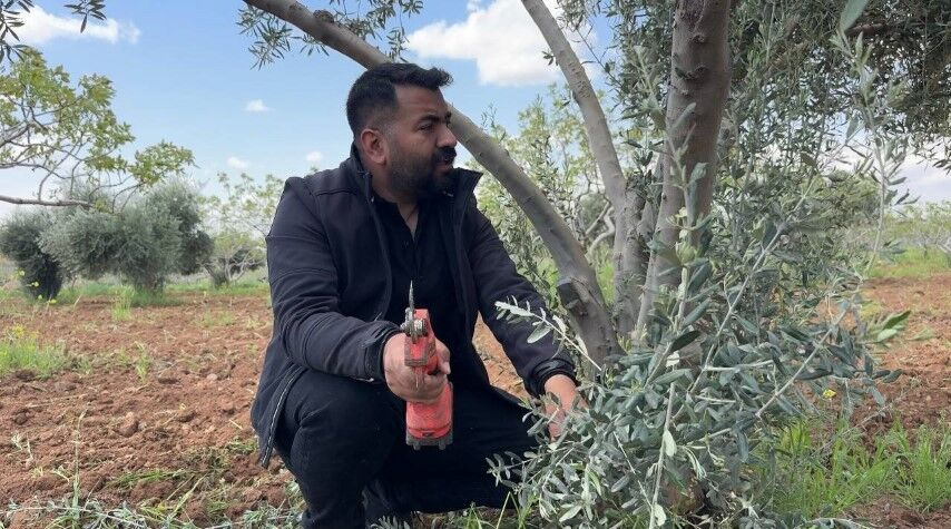 Şanlıurfa’da Zeytin Üreticilerine Kritik Uyarı (1) (Küçük)