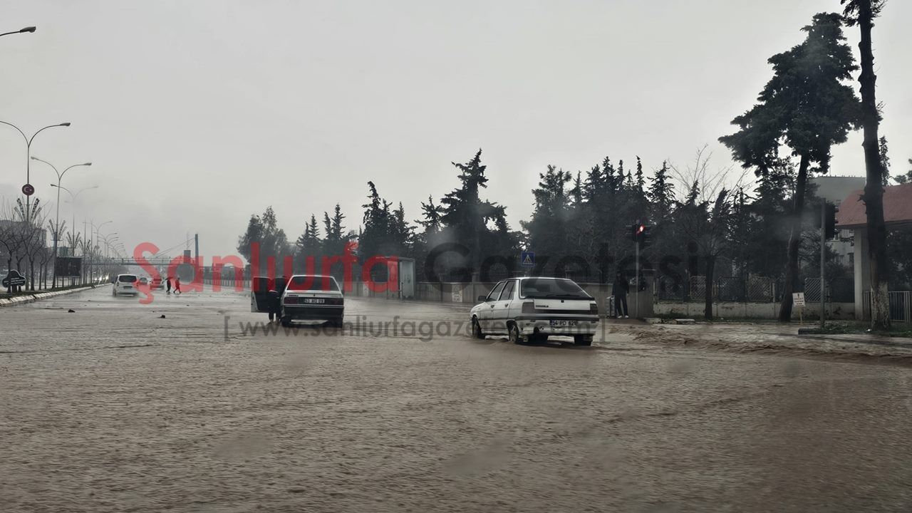 Şanlıurfa’da Sağanak Yağış Hayatı Felç Etti: Cadde Ve İş Yerleri Sular Altında