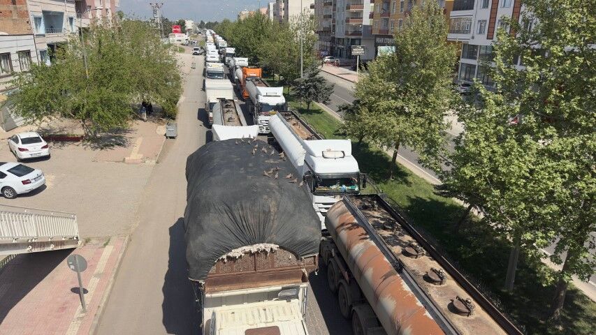 Kumruların kırmızı ışık sefası: Şanlıurfa'da doğadan gösteri