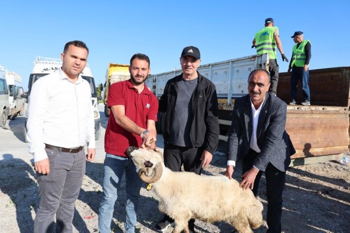Eyyübiye Belediyesi Bayramda Tarım İşçisi Ailelerin Yüzünü Güldürdü