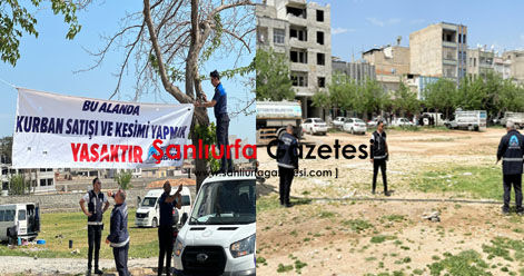 Şanlıurfa’nın turizm bölgesindeki görüntülere valilik ‘dur’ dedi!