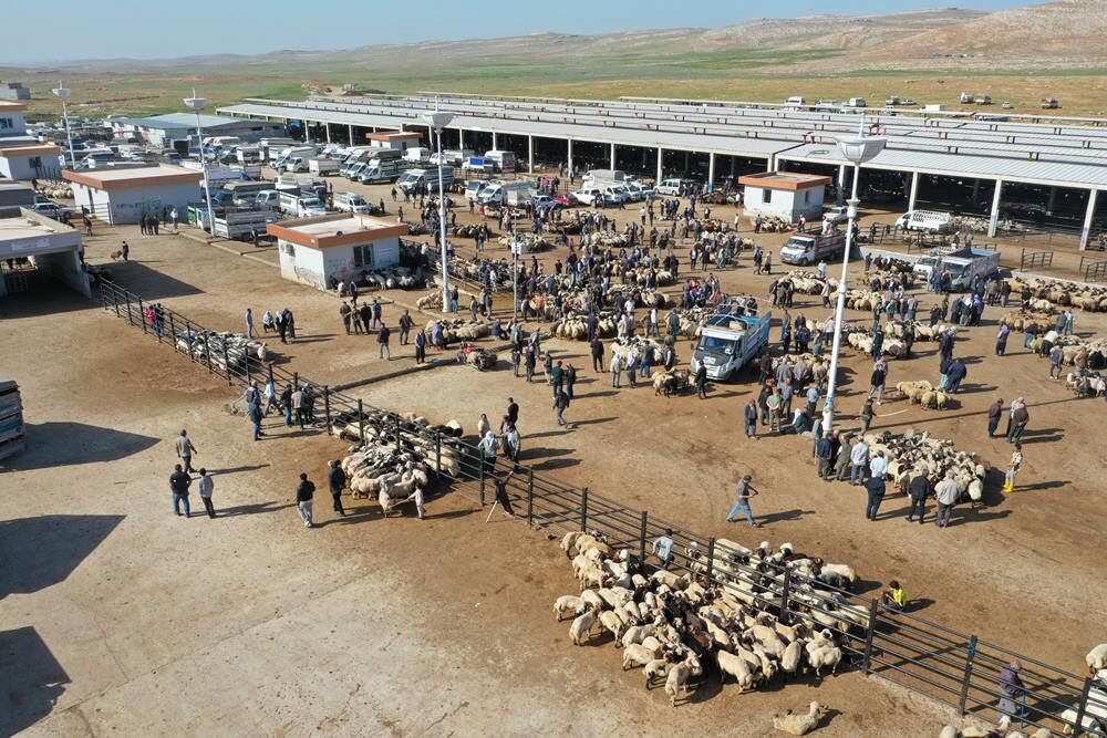 Kurban Pazarı