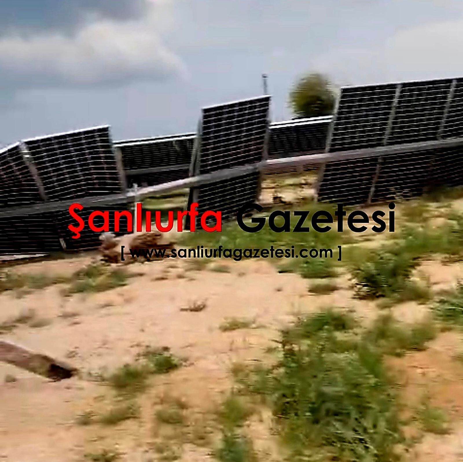 Şanlıurfa'nın o ilçesi karanlığa gömüldü: Hasar büyük