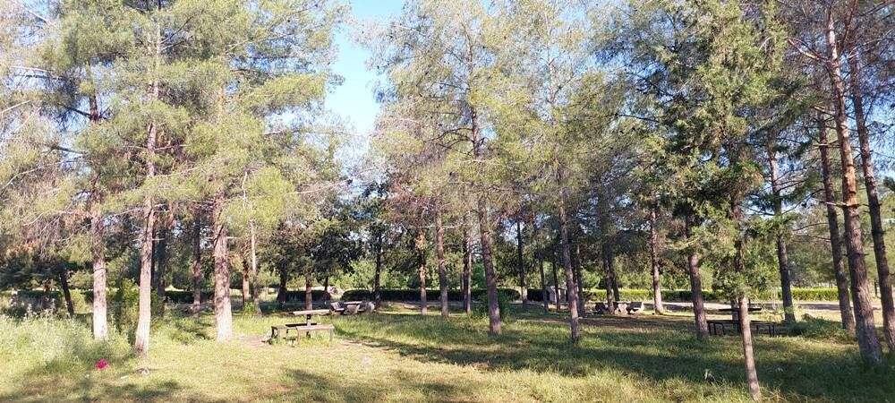 Sulutepe Göleti Kaderine Terk Edildi