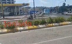 Şanlıurfa’da Pes Dedirten Görüntü! Atı Motosikletin Arkasına Bağlayıp Yolda Çekti