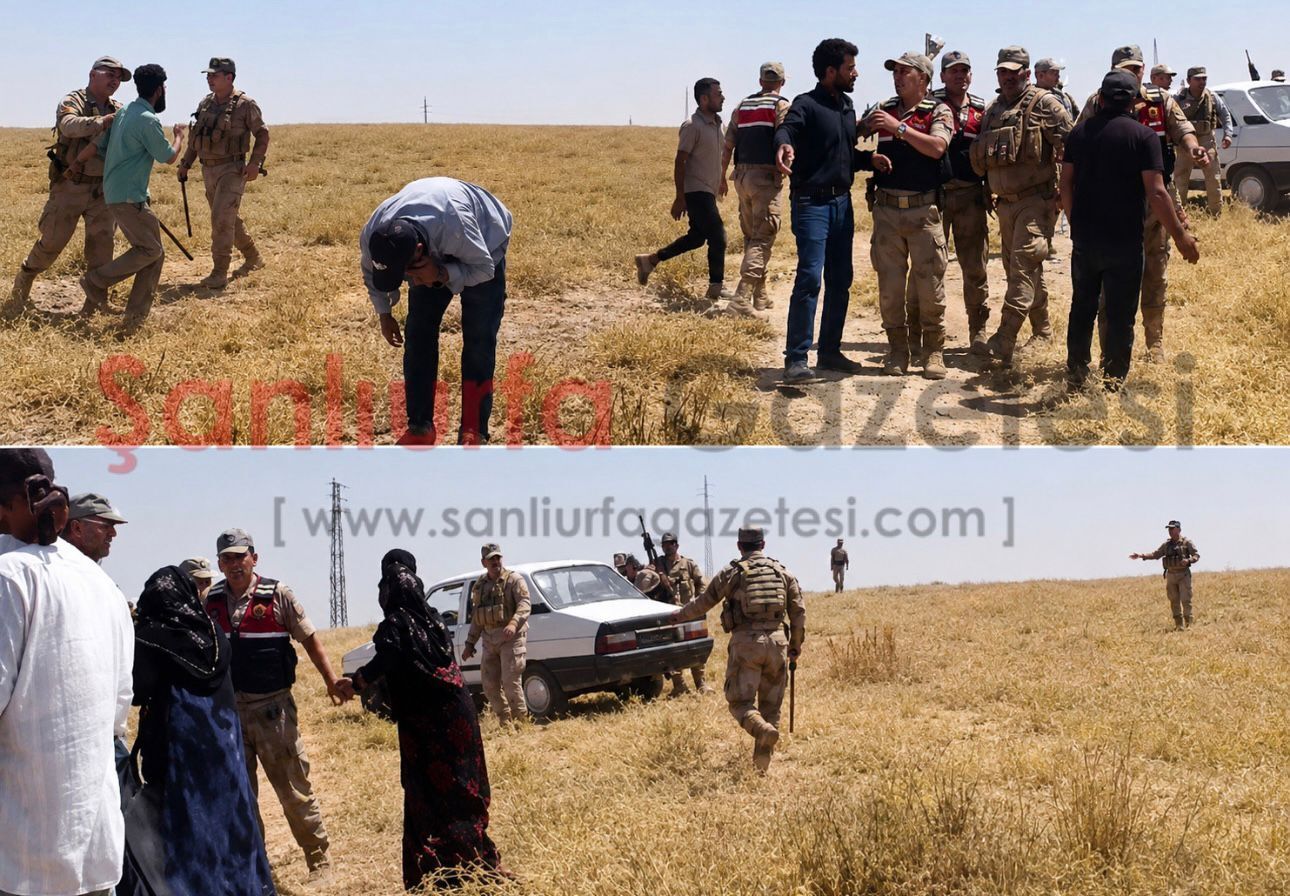 Şanlıurfa’da Husumetli Aileler Hasat İçin Karşı Karşıya Geldi: Jandarma Müdahale Etti