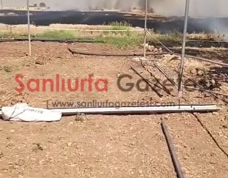 Şanlıurfa’da Buğday Tarlasında Yangın: 50 Dönüm Alan Zarar Gördü