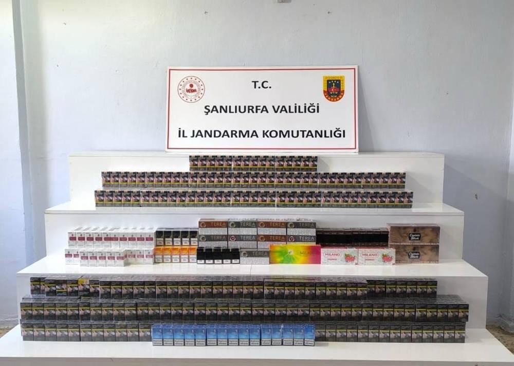 Jandarma 2