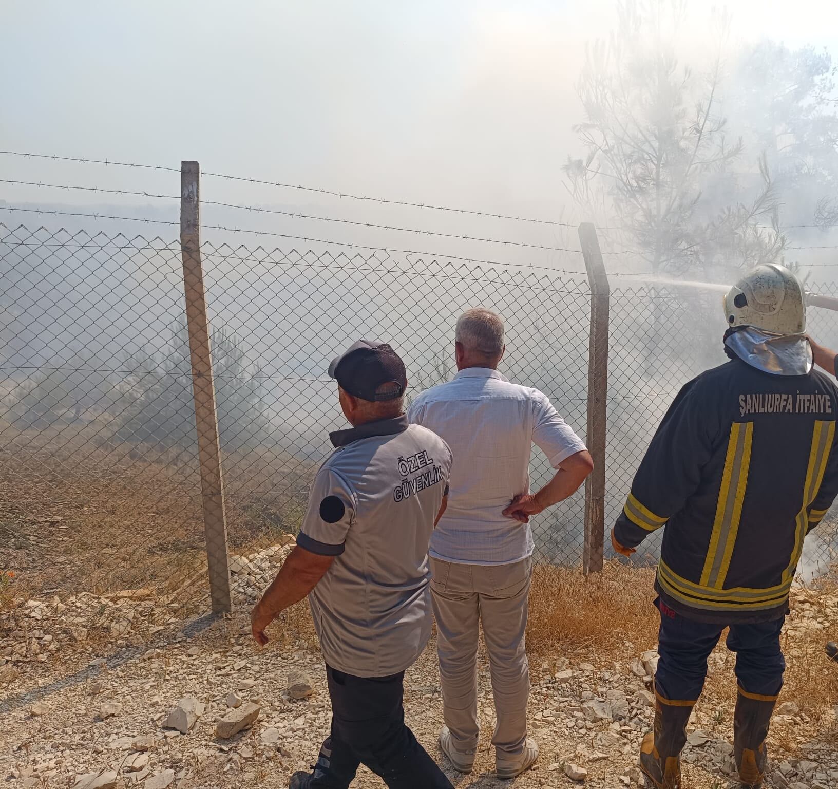 Şanlıurfa Bozova'da Ormanlık Alanda Yangın Paniği
