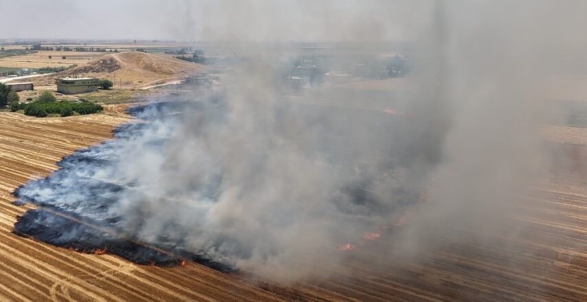 Şanlıurfa’da Anıza Doğrudan Ekim Alanı Genişletildi (3)