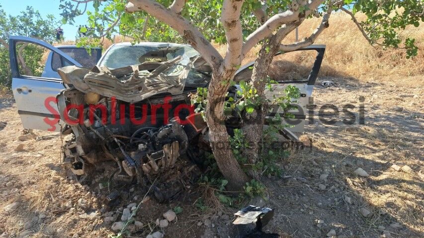 Şanlıurfa'da Otomobil Fıstık Tarlasına Uçtu: Kadın Sürücü Ağır Yaralandı