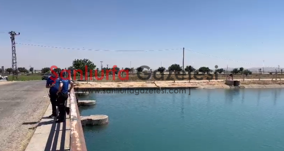 Şanlıurfa'da Sulama Kanalında Kayıp Şahıs İhbarı: Ekipler Seferber Oldu