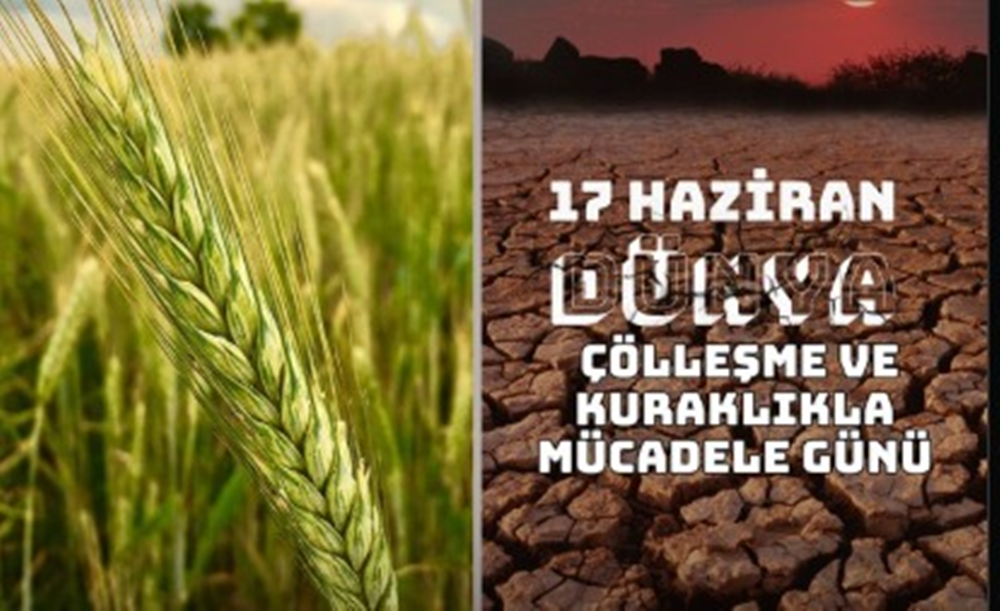 Şanlıurfalı vekil Eyyüpoğlu’ndan 17 Haziran paylaşımı
