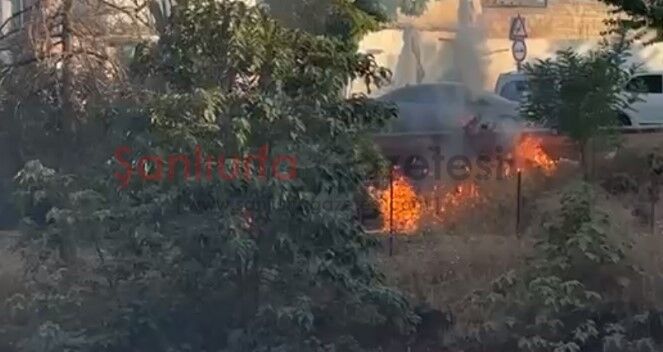 Şanlıurfa'da Otluk Alanda Yangın Çıktı!