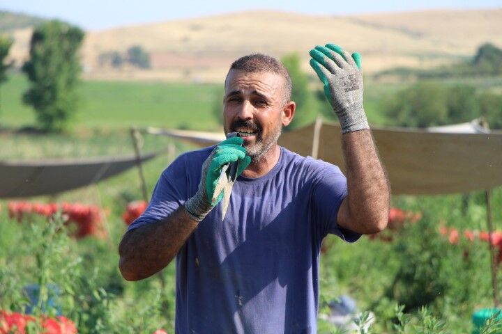 Şanlıurfalı Hüseyin Akkılıç'ın Tarladaki Performansı Gündem Oldu