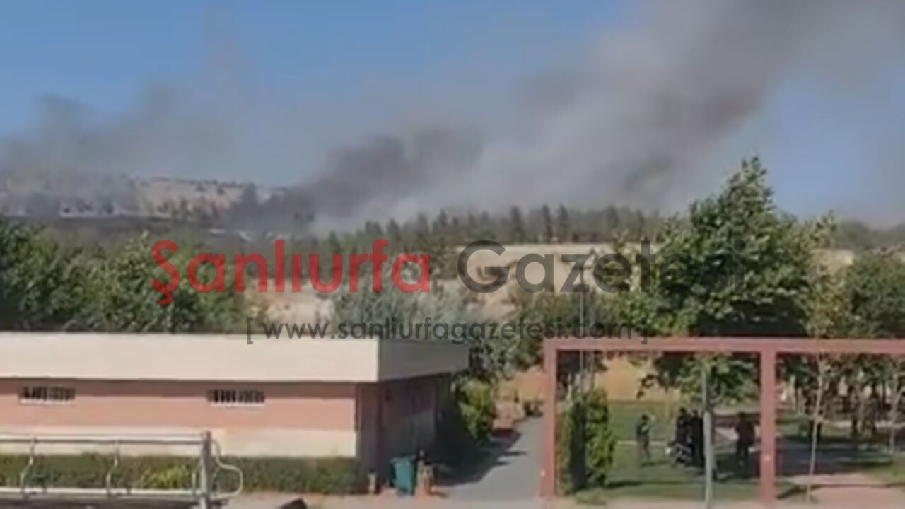 Şanlıurfa GAP Vadisi'nde Orman Yangını: Ekipler Seferber Oldu