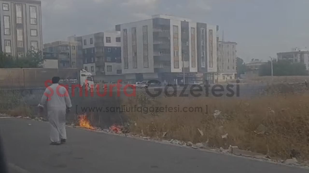 Şanlıurfa'da Anız Yangını Park Halindeki TIR'a Sıçradı! Facia Son Anda Önlendi
