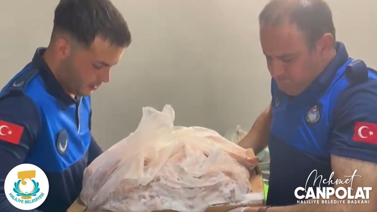 Şanlıurfa'da ruhsatsız iş yeri zabıtadan kaçamadı: Kilolarca bozuk et çöpü boyladı!